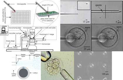 Robotic single cell